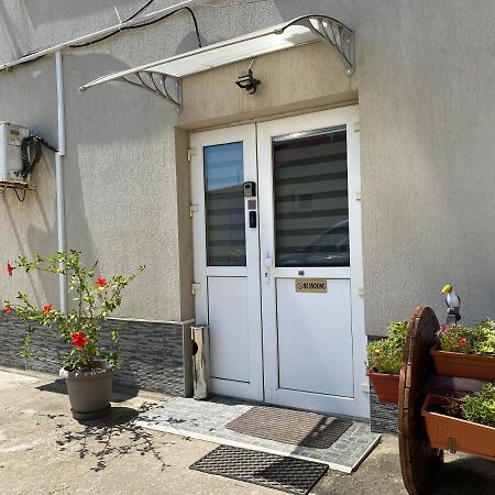 Evergreen Apartment ティミショアラ エクステリア 写真