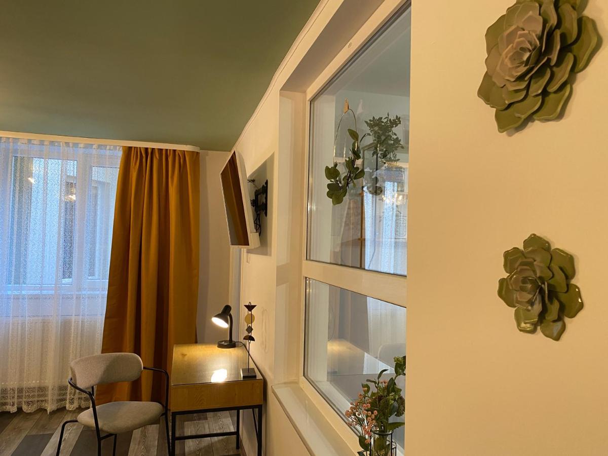 Evergreen Apartment ティミショアラ エクステリア 写真