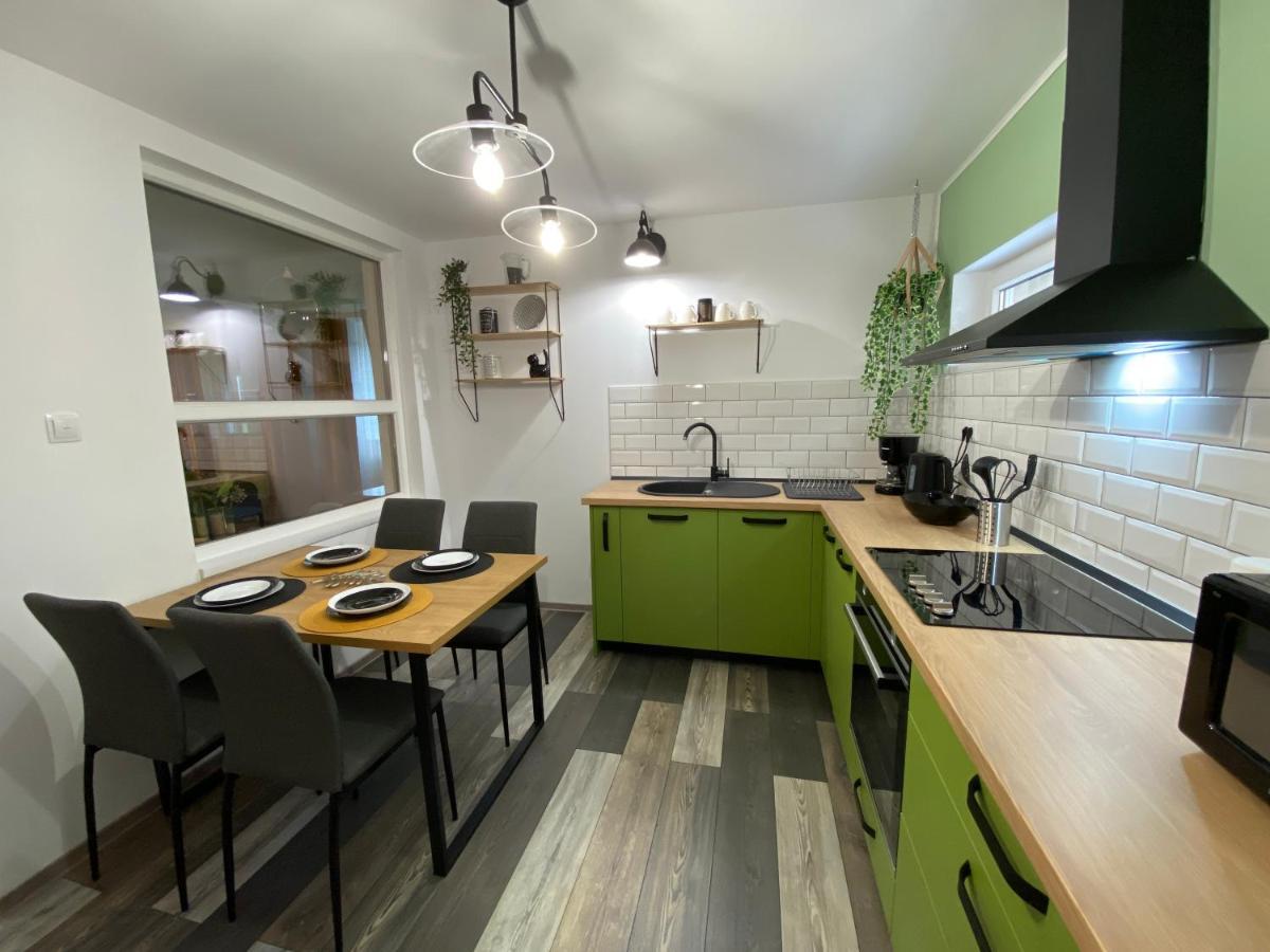 Evergreen Apartment ティミショアラ エクステリア 写真