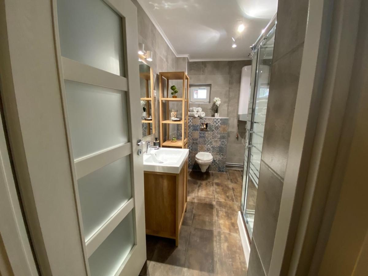 Evergreen Apartment ティミショアラ エクステリア 写真