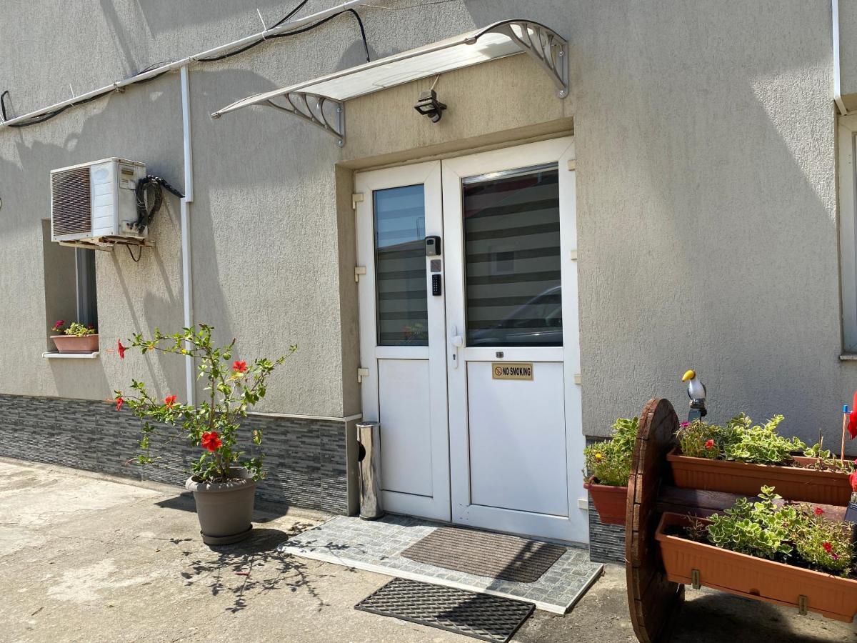 Evergreen Apartment ティミショアラ エクステリア 写真